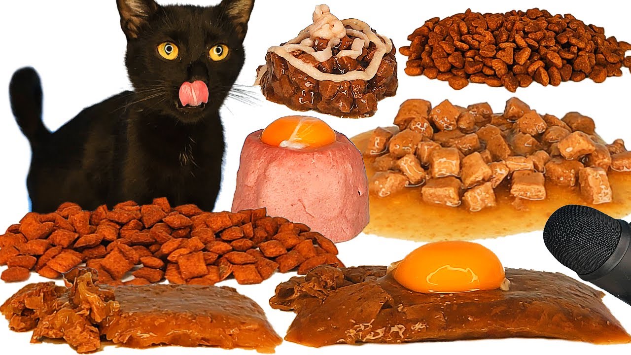 ASMR MUKBANG Cat Eating Wet Food, Dry Food & Egg Yolk