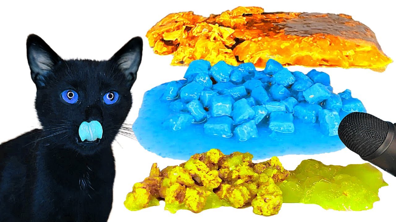 Cat Eating Colorful Food ASMR Mukbang