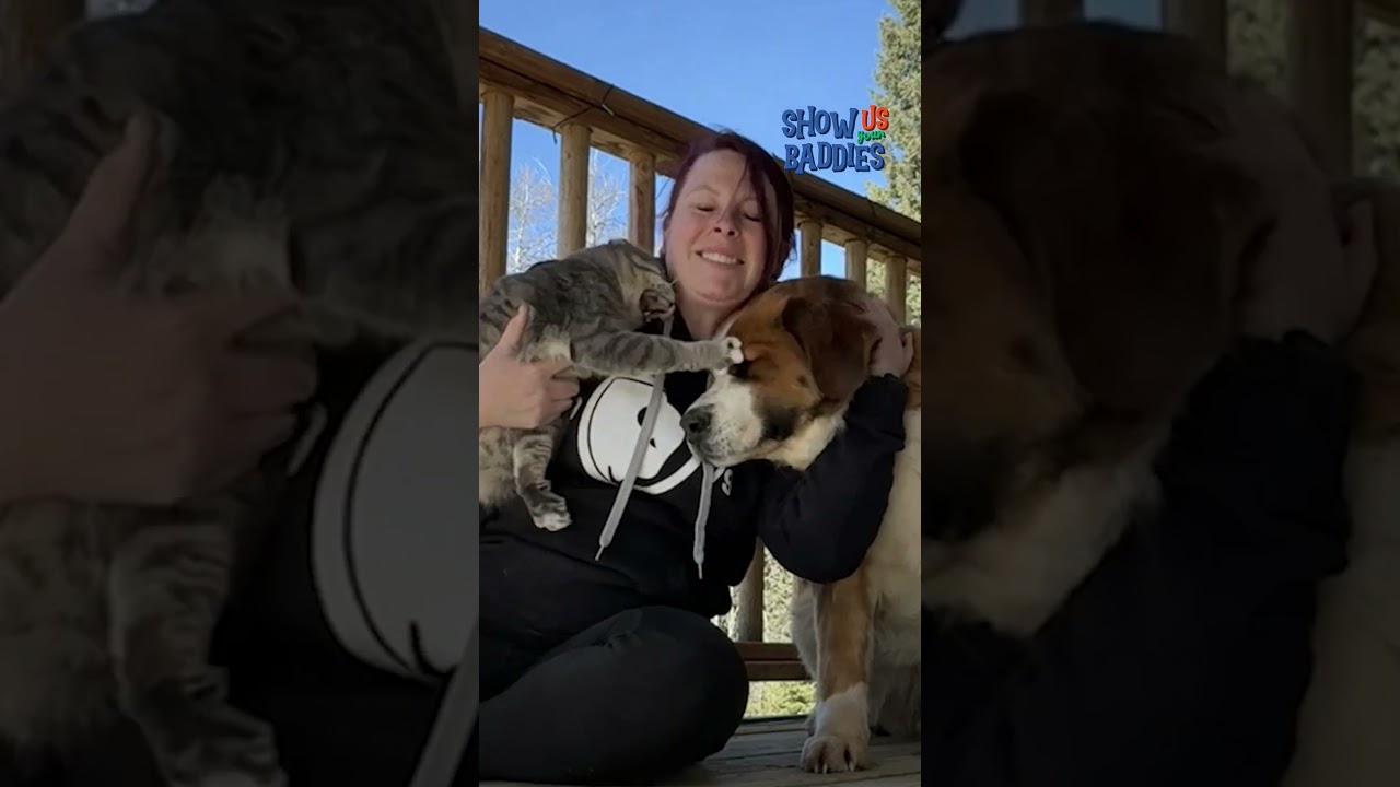 Get your leash ready.  These animals want to to walk on the wild side!  😎.#Funny #BadDog #CCTV