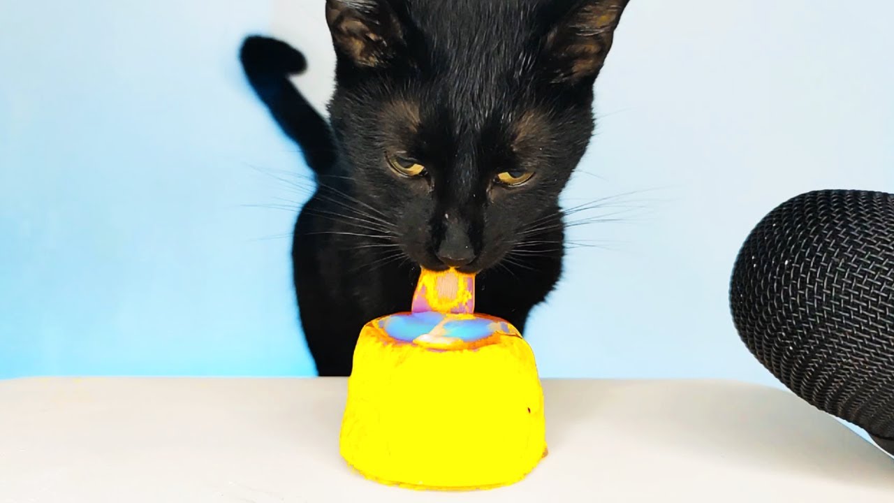 ASMR Mukbang Cat Eating Colorful Jelly