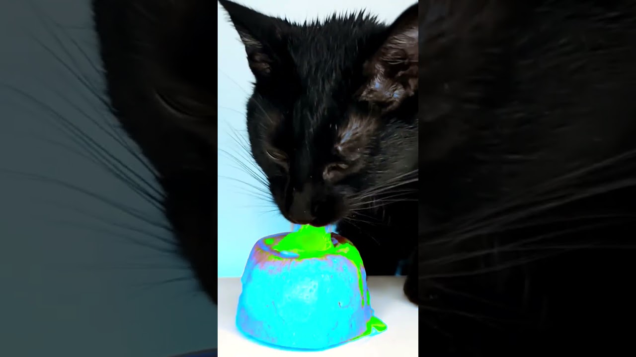 ASMR Mukbang Cat Eating Green & Cyan 💚💙