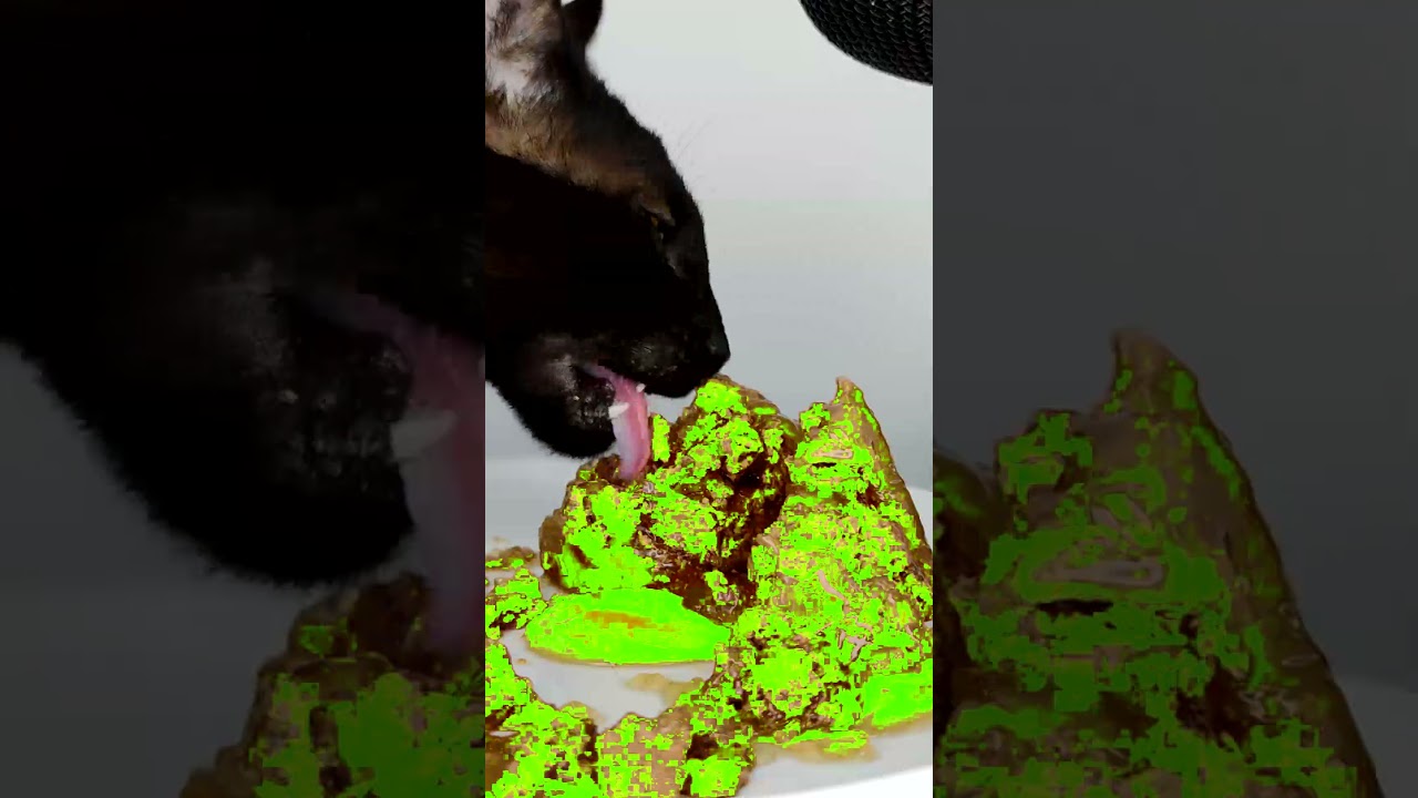 ASMR Mukbang Cat Eating Green 💚