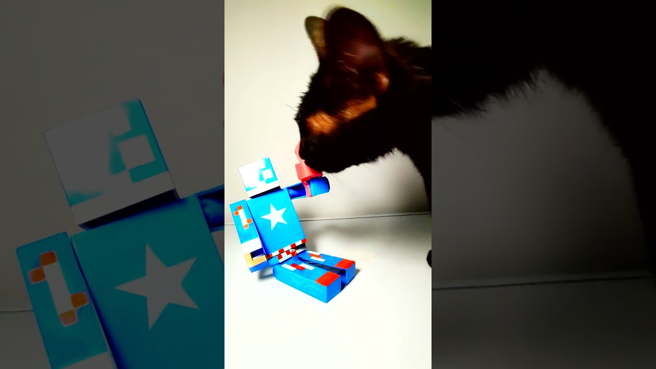 ASMR Mukbang Cat Eating Sword ⚔️