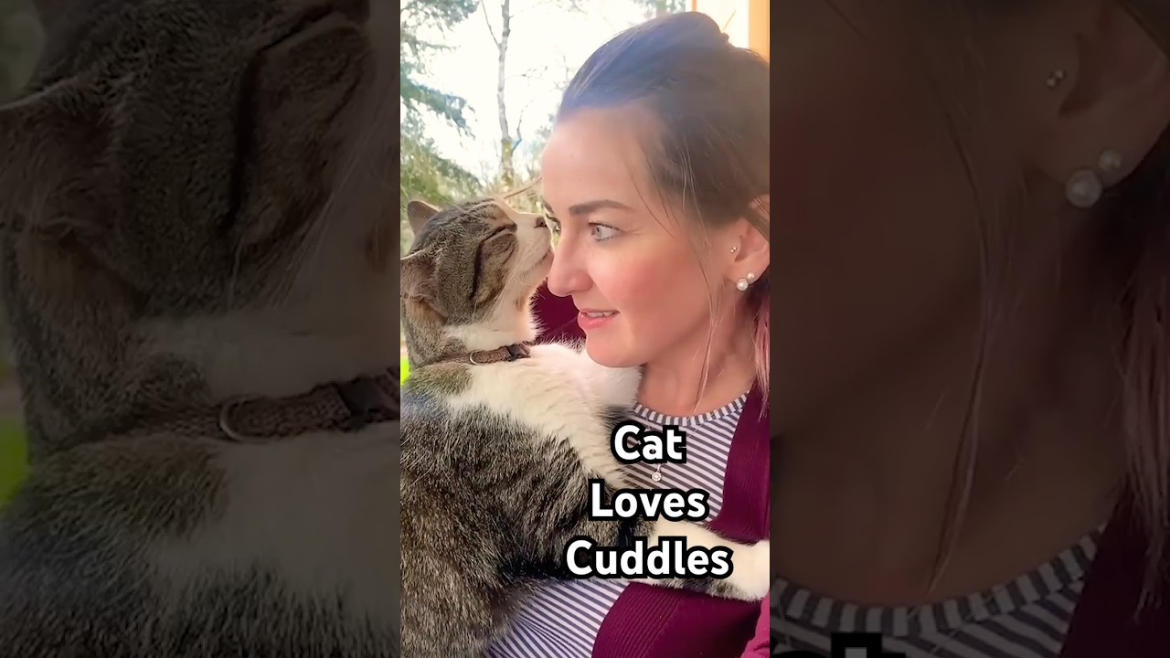 Cat Loves Sitting In Mom's Lap