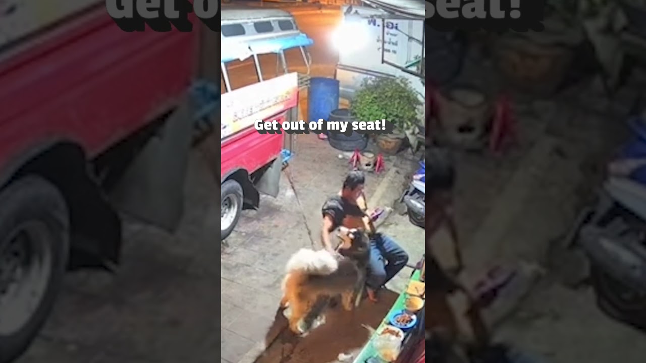 Dog Kicks Dad Out Of His Chair