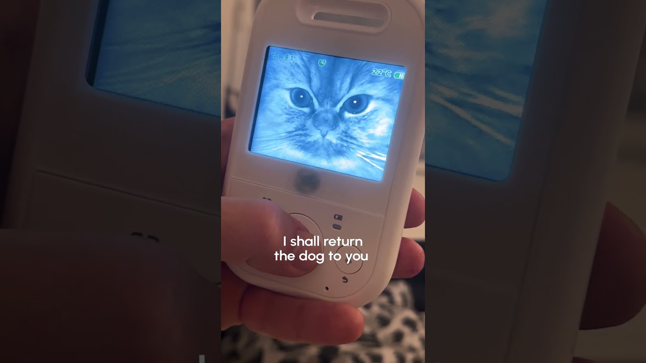 Evil Cat Stares Straight Into Baby Cam