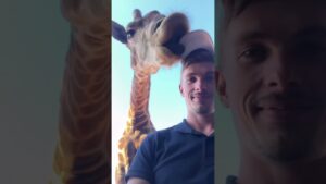 Some of the craziest, most funny animal videos that the internet has to offer