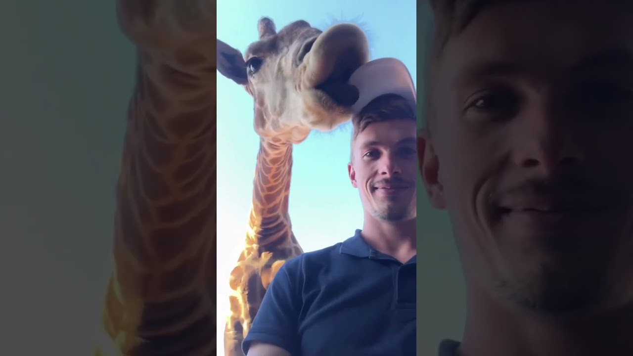 Some of the craziest, most funny animal videos that the internet has to offer