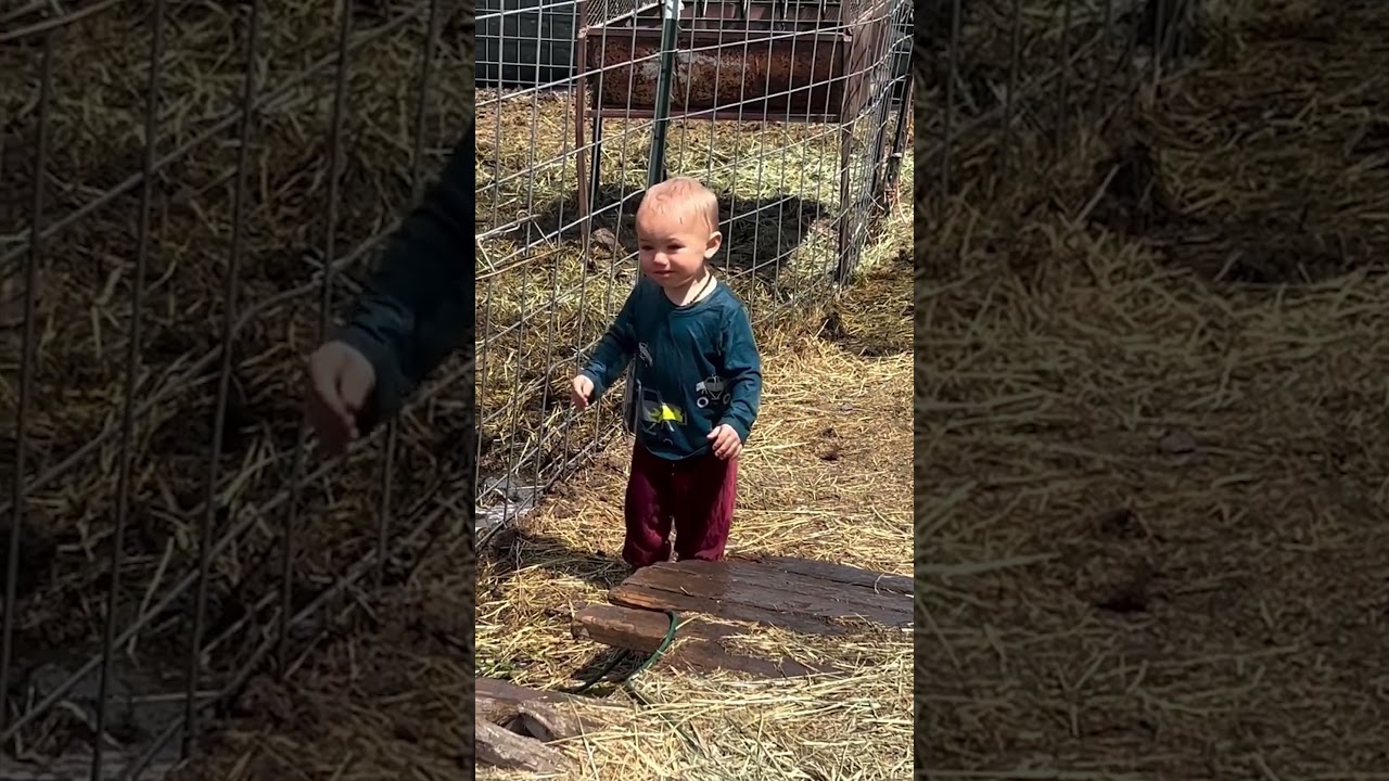 Horse Splashes Little Boy With Water #Horse #Cute #FarmLife