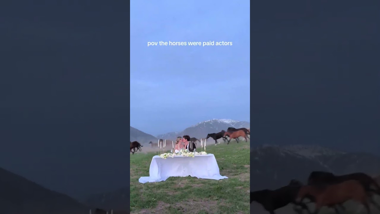 Horses Gallop Past Wedding Reception! 😍