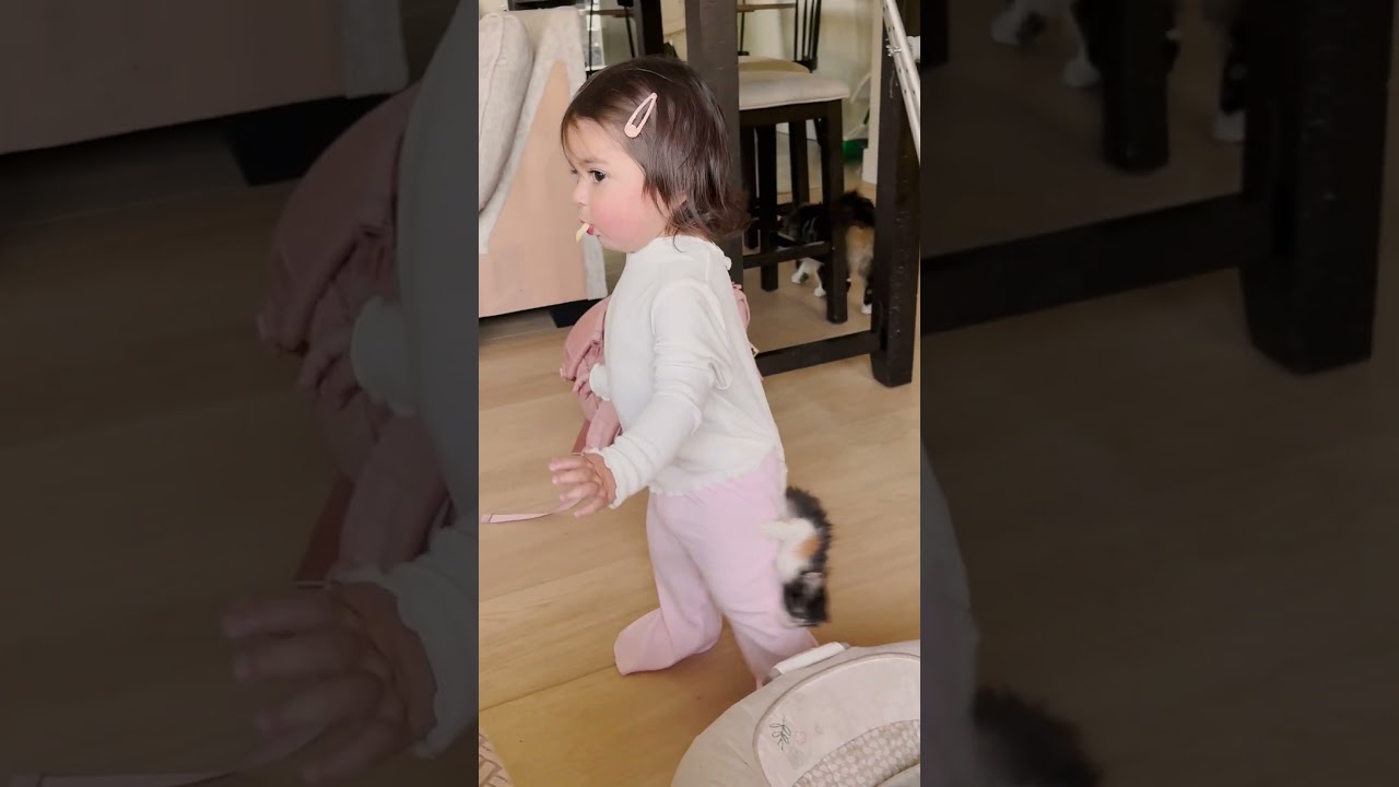 Just two toddlers learning how to live! 😹💕 #Kitten #Cat #Funny