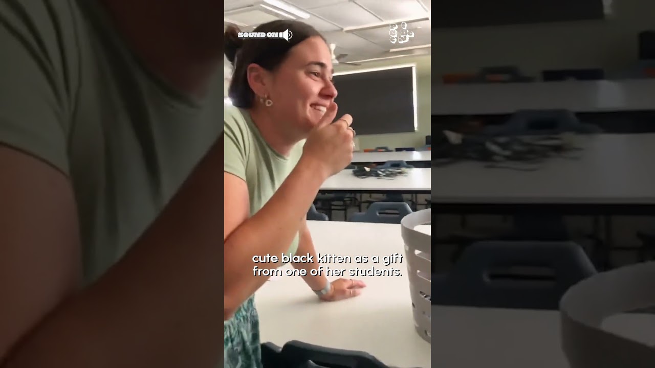 Students Surprise Their Teacher With New Kitten