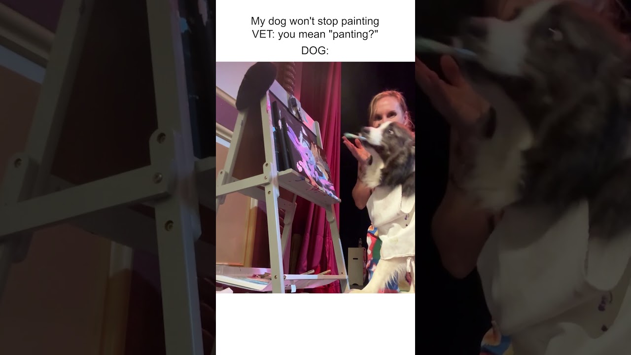 Talented Dog Paints For Crowd