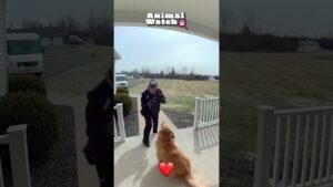 We spied the cutest animals just for you!  #CCTV #Cute #Adorable #Funny
