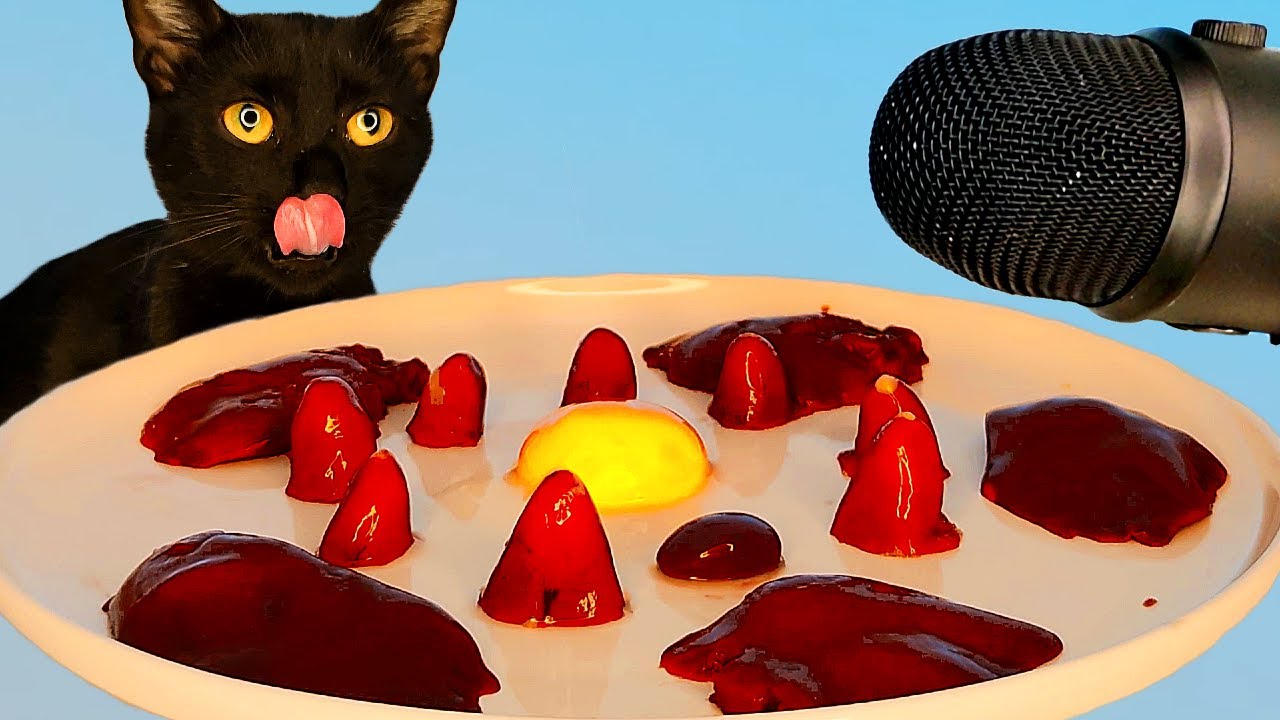 ASMR Mukbang Cat Eating Food 🐱| Satisfying Relaxing Sounds