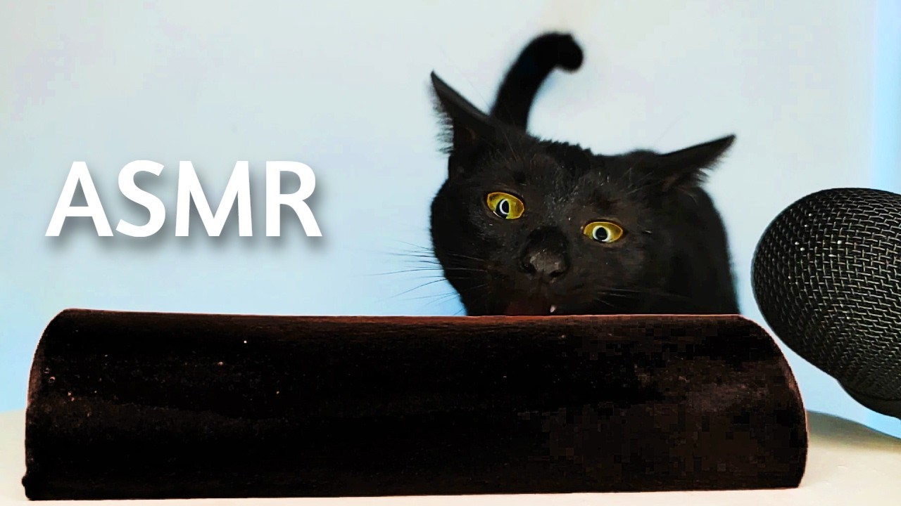 Black Cat Eating Black Food ASMR Mukbang 🖤