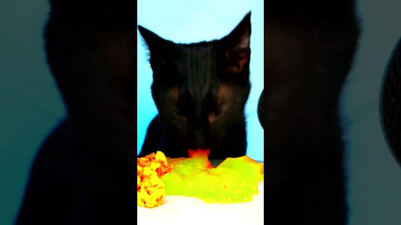 Cat ASMR Eating Green Mukbang 💚