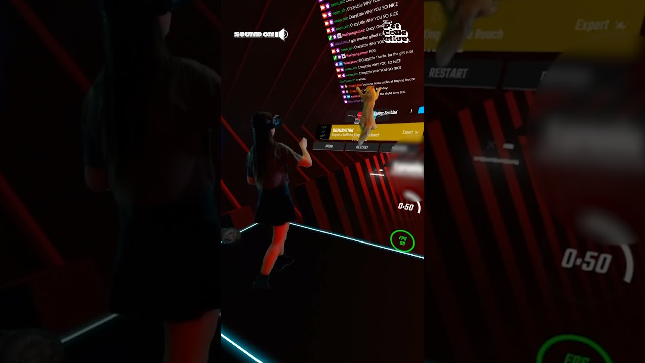 Cat Jumps On Screen During Livestream