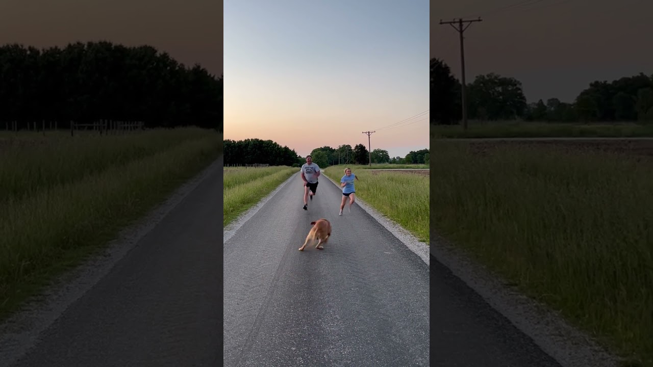 Dog Knocks Girl Over During Race With Dad
