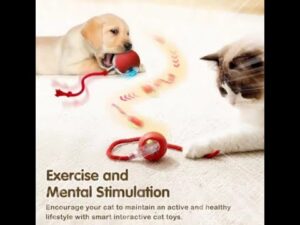 Fluffy Tail Frenzy! Your Cat Will Go Nuts for This Automatic Ball!