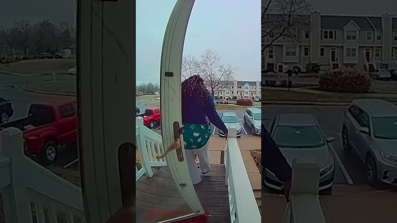 Animal Caught On Camera Moments That Will Have You HOWLING!  #funny #dogs #cat