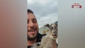 Men On The Farm