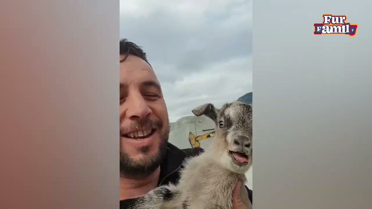 Men On The Farm