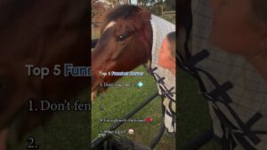 Top 5 Funniest Horses #Horse #FarmAnimals #Top5