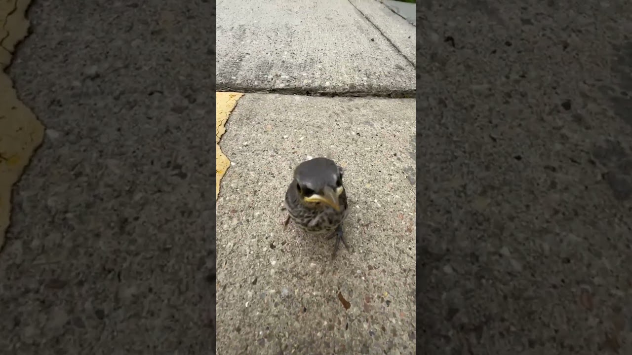 "you betta get that thing outta my face, pal!" 👁️🔻👁️