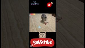 Your Cat's New Obsession The Self Rolling Interactive Ball Toy! #cat