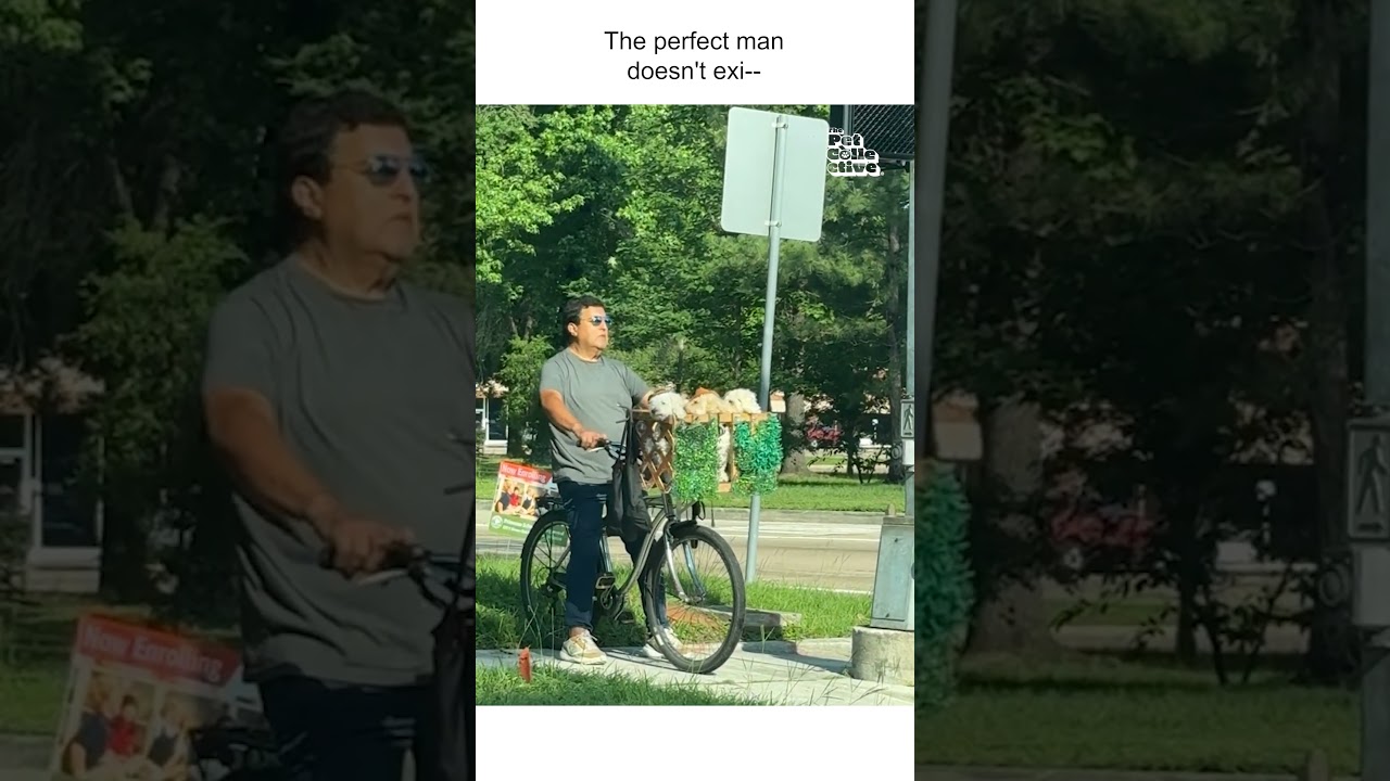 Adorable Dogs Go For Bicycle Ride In The Park