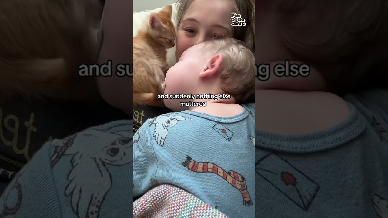 Adorable Ginger Kitten Cuddles With Mom And Her Baby 🥹