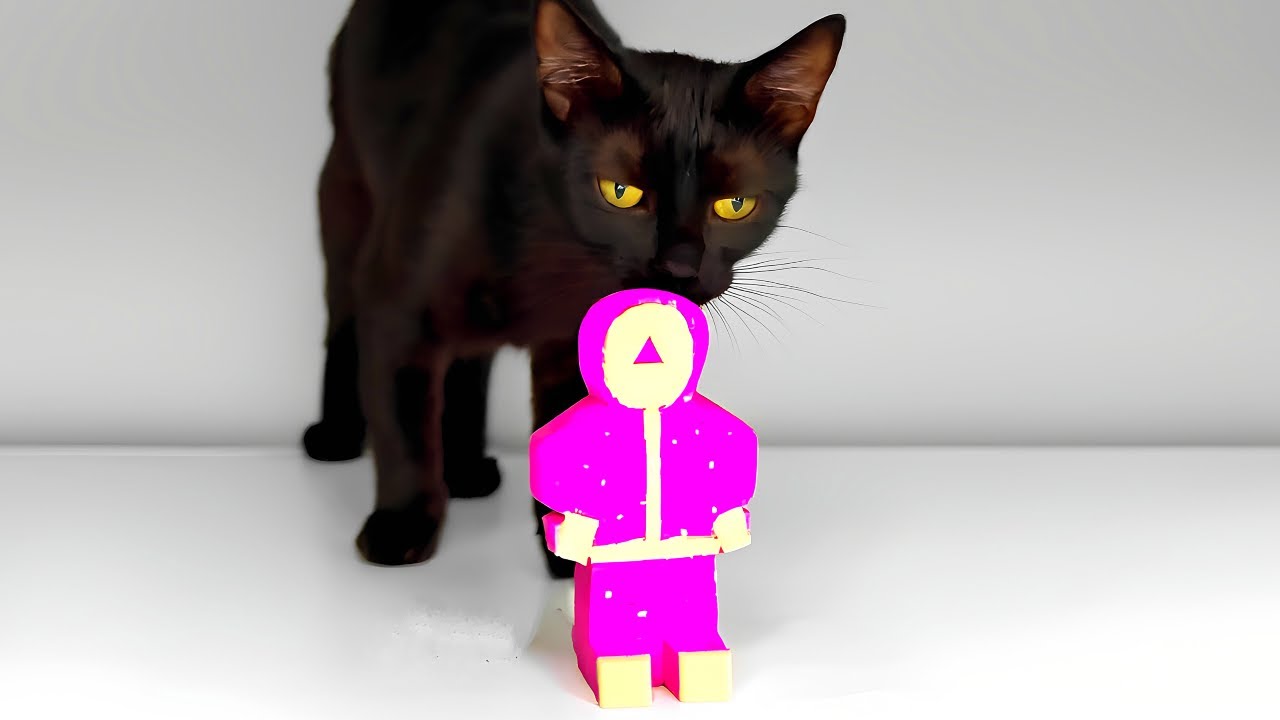 Cat Eating Squid Game ASMR Mukbang