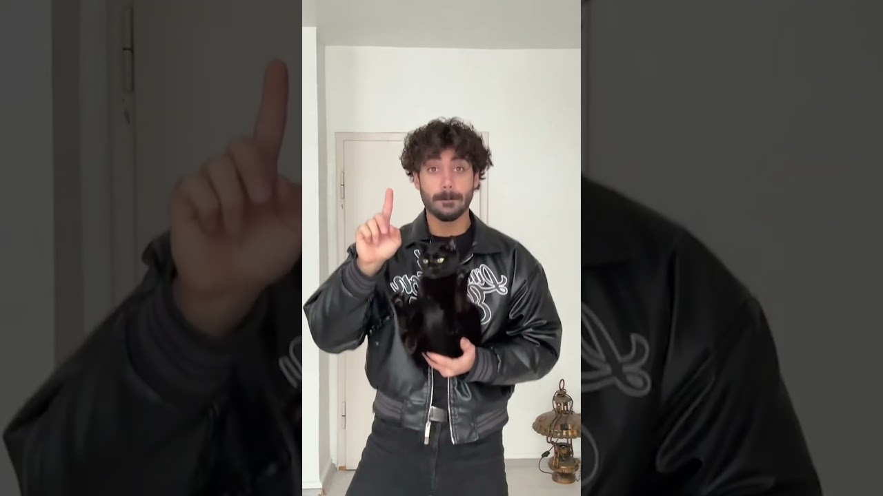 Cool Cat Videos😹 | FUNNIEST Cat Videos