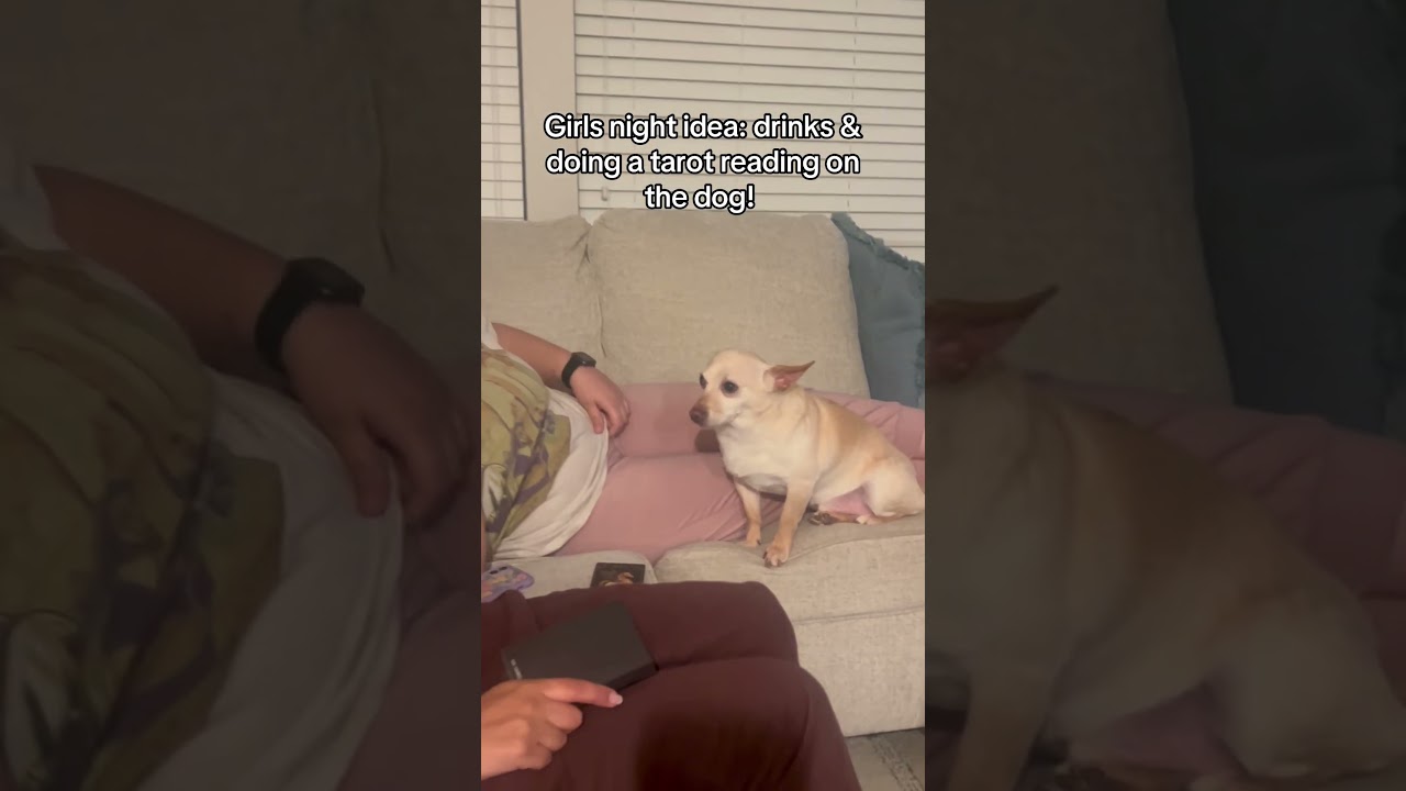 Funny Girls Do Tarot Reading On Dog