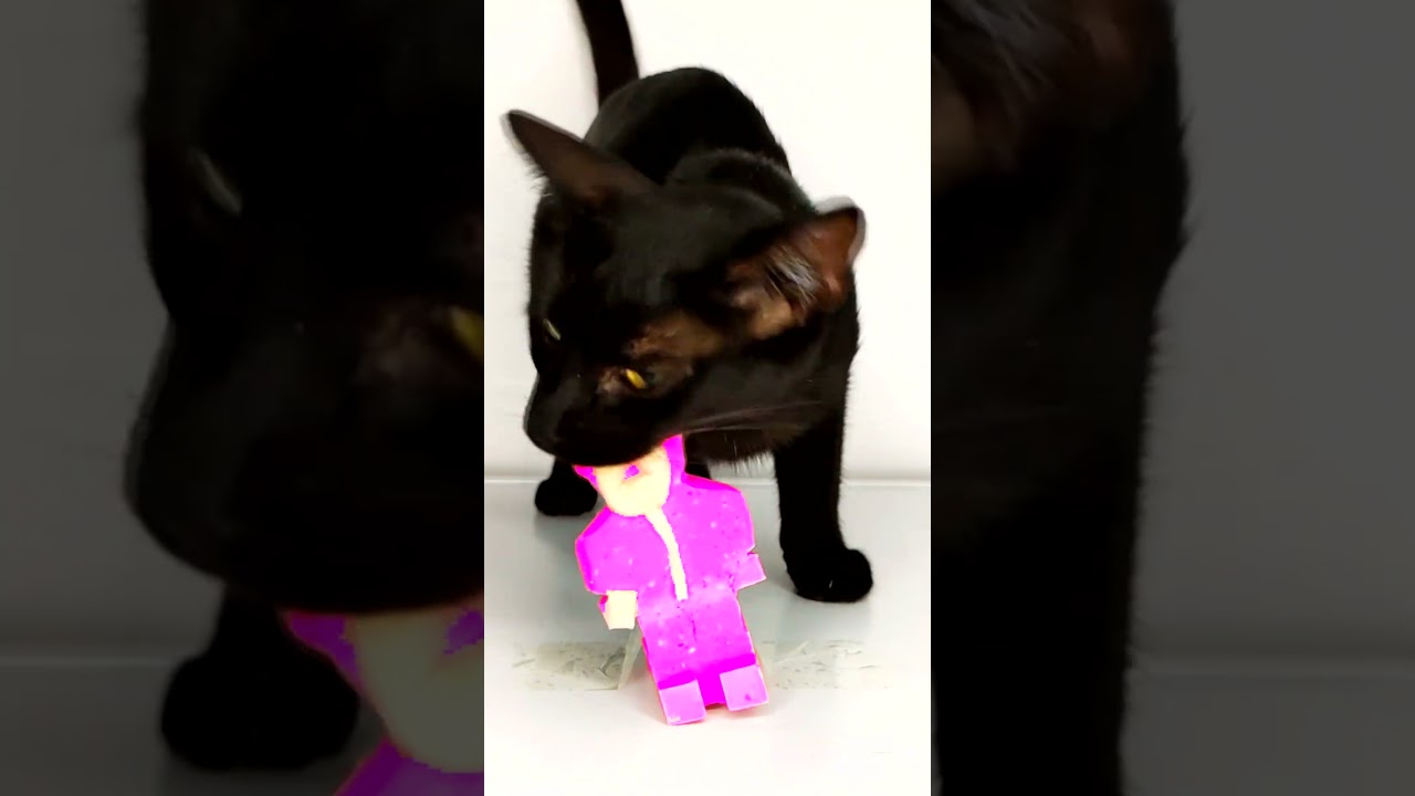 Squid Game ASMR Mukbang Eating Pink Soldier 🦑 Kitten Cat
