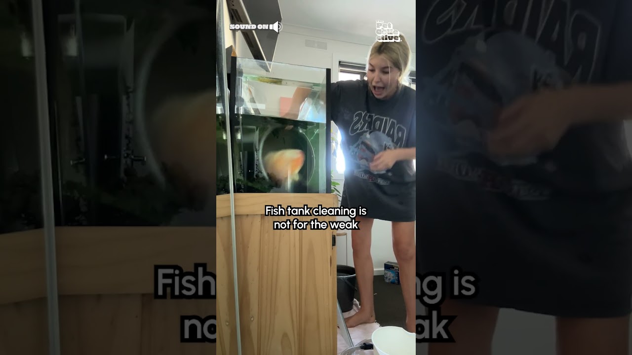 Well... good thing nobody overreacted 🤣💥🐟 (Via -  Rebecca M.) #Fish #FishTank #Fail