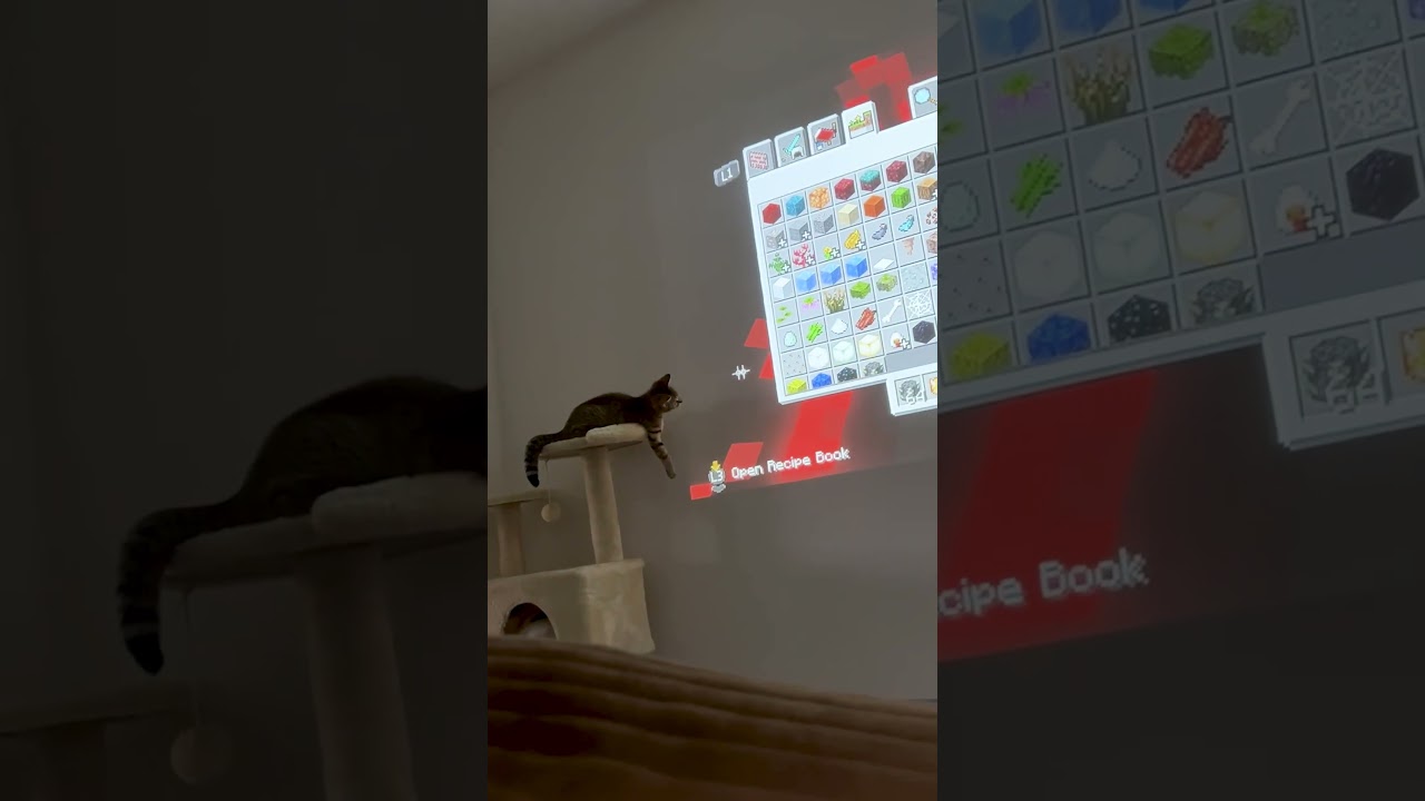 "Do a flip!" 💥🐈🤣🖱️ #Cat #Funny #Computer