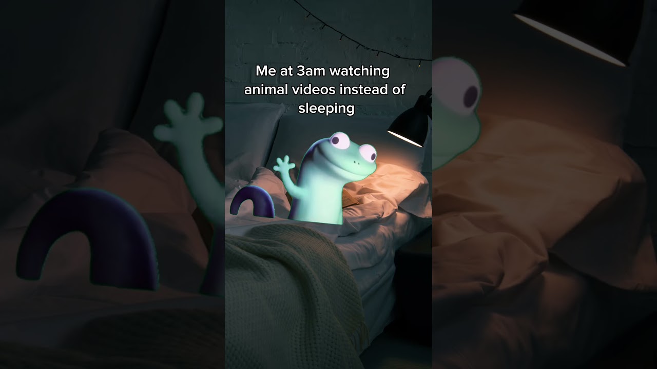 it's better than sleeping tbh 🦎🦎🦎🦎 #Lizard #AnimalVideos #Funny