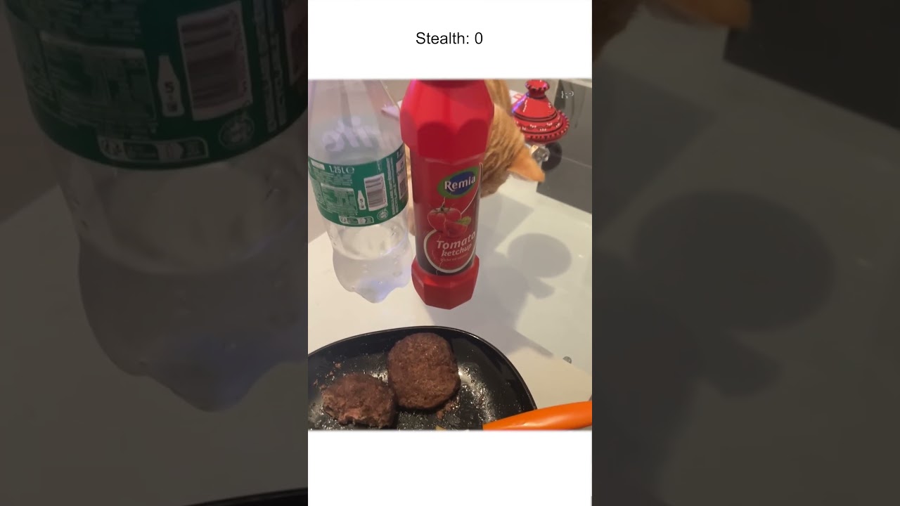 Sneaky Cat Tries to Steal Steak From Owner's Plate 🤣💥🐈‍⬛