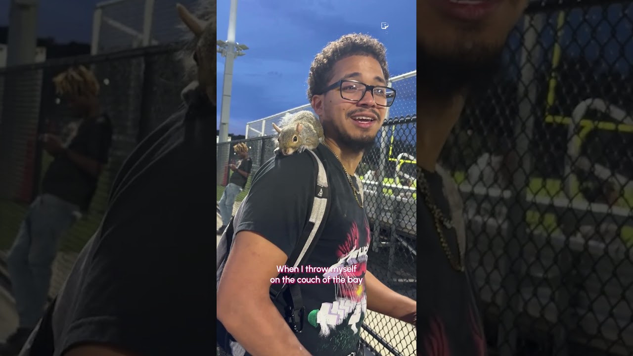 They have got to be soulmates! 🐿️💗 #Squirrel #Cute #Funny