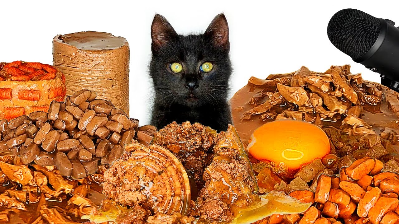 [1 Hour] Cat ASMR Eating Wet Food Compilation