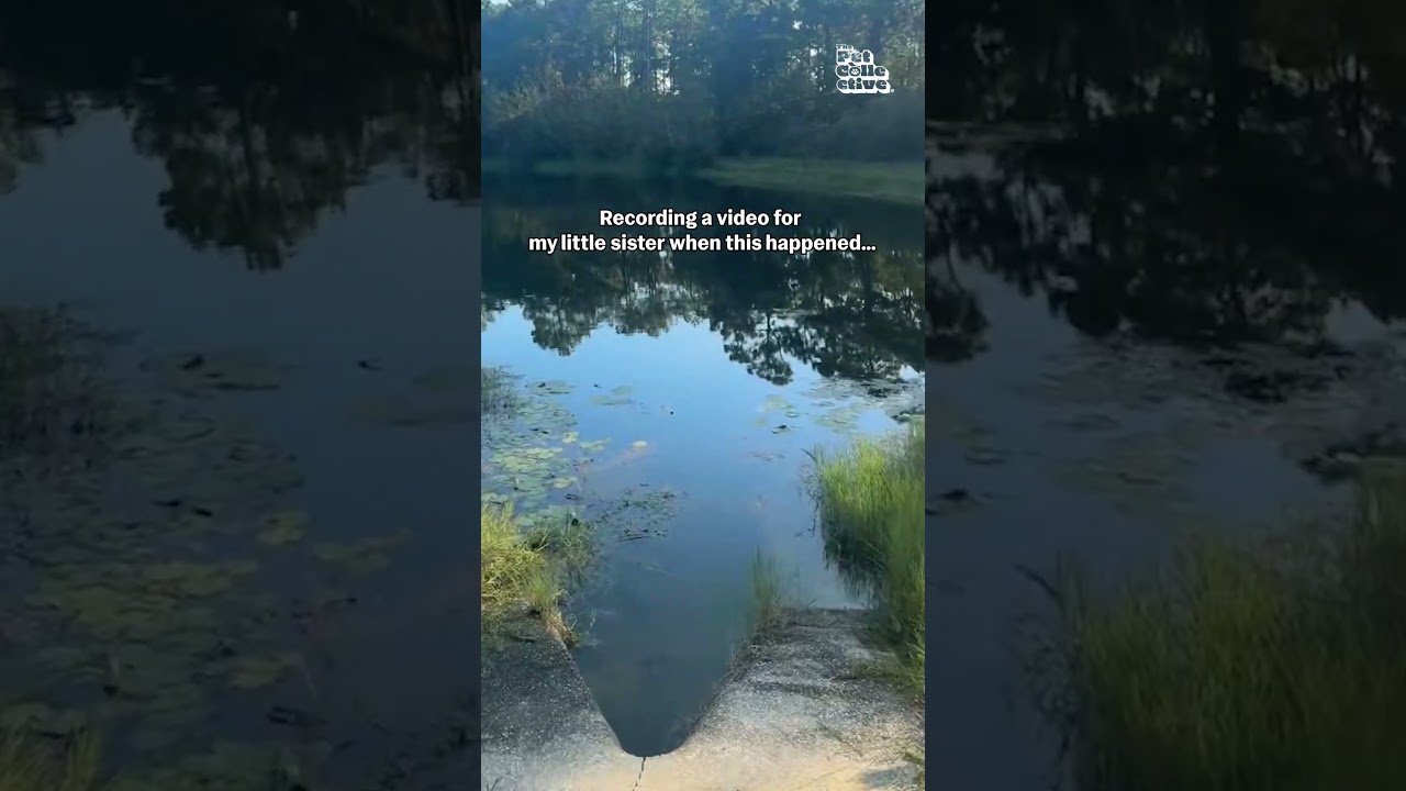 Alligator Startles Man By Swimming Past While He's Talking About It