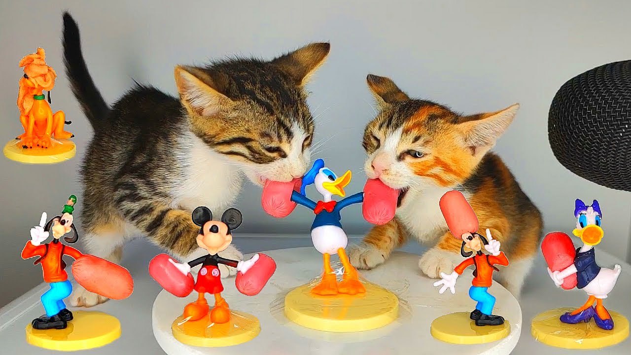 Funny Cats Eating ASMR with Mickey Mouse and Friends πΈ