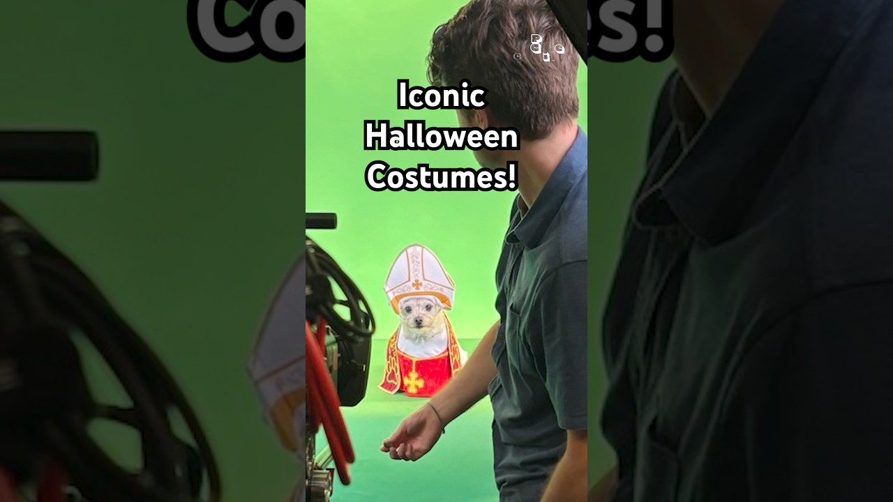 We turned some of the most viral 2025 moments into pet Halloween costumes! 🤣👻✨