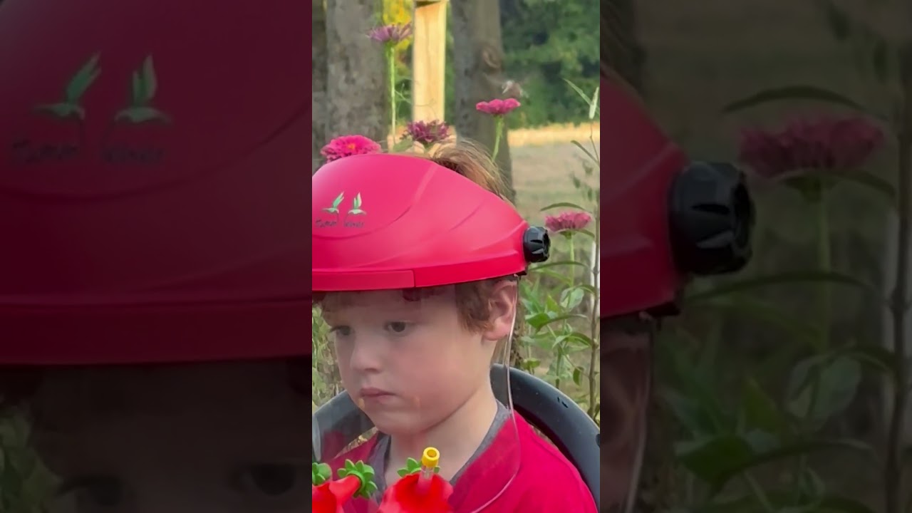 This is so precious 🥹 He wanted the hummingbirds to visit him so bad 💕