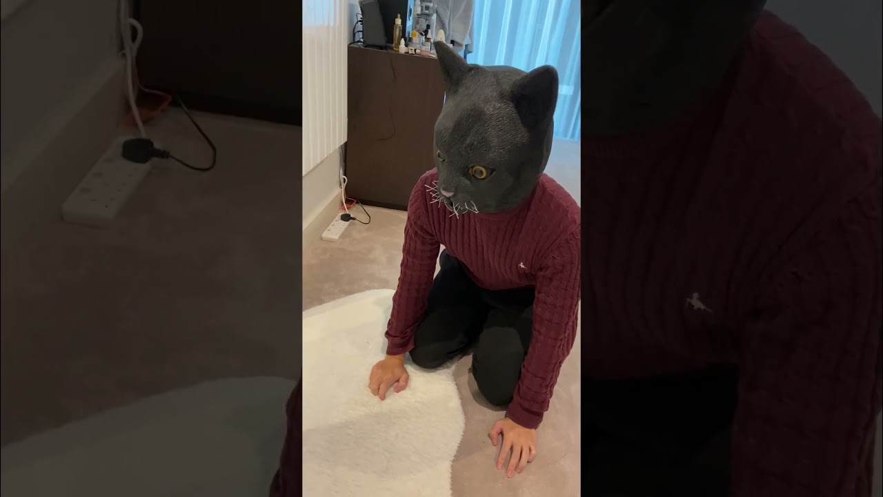 Animals VS. Halloween Decor!