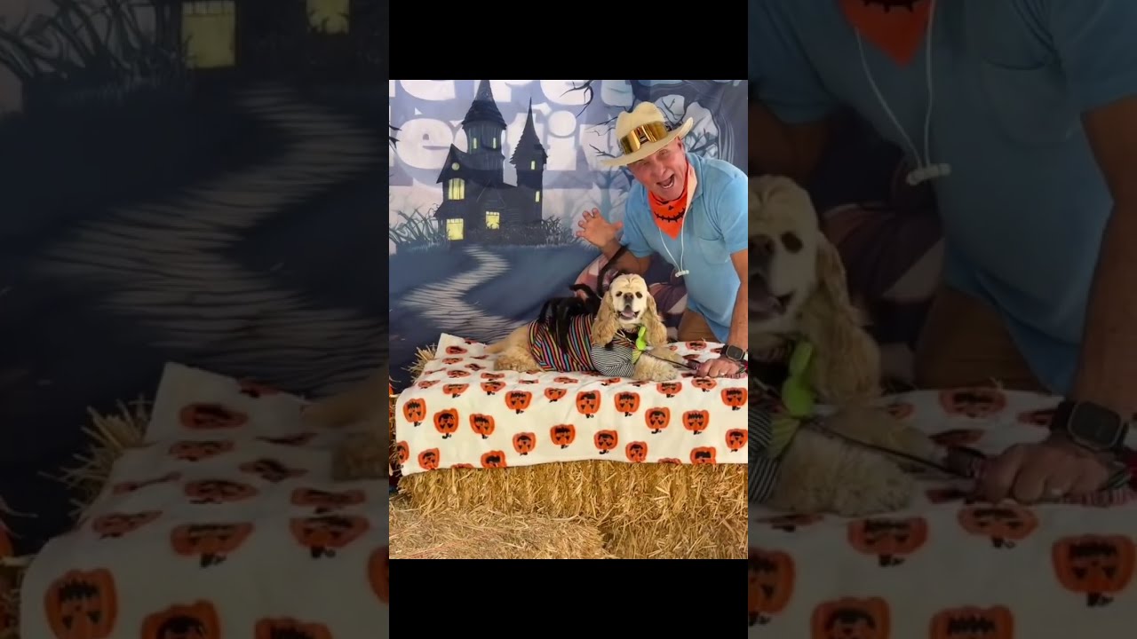 Our Petcon pumpkin patch was so magical! 🫶🎃 #dogs #halloween #losangeles