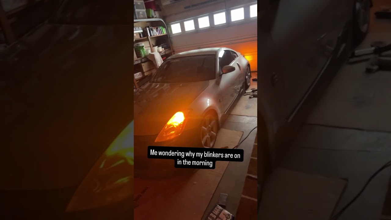 Caught My Cat Trying To Steal My Car!