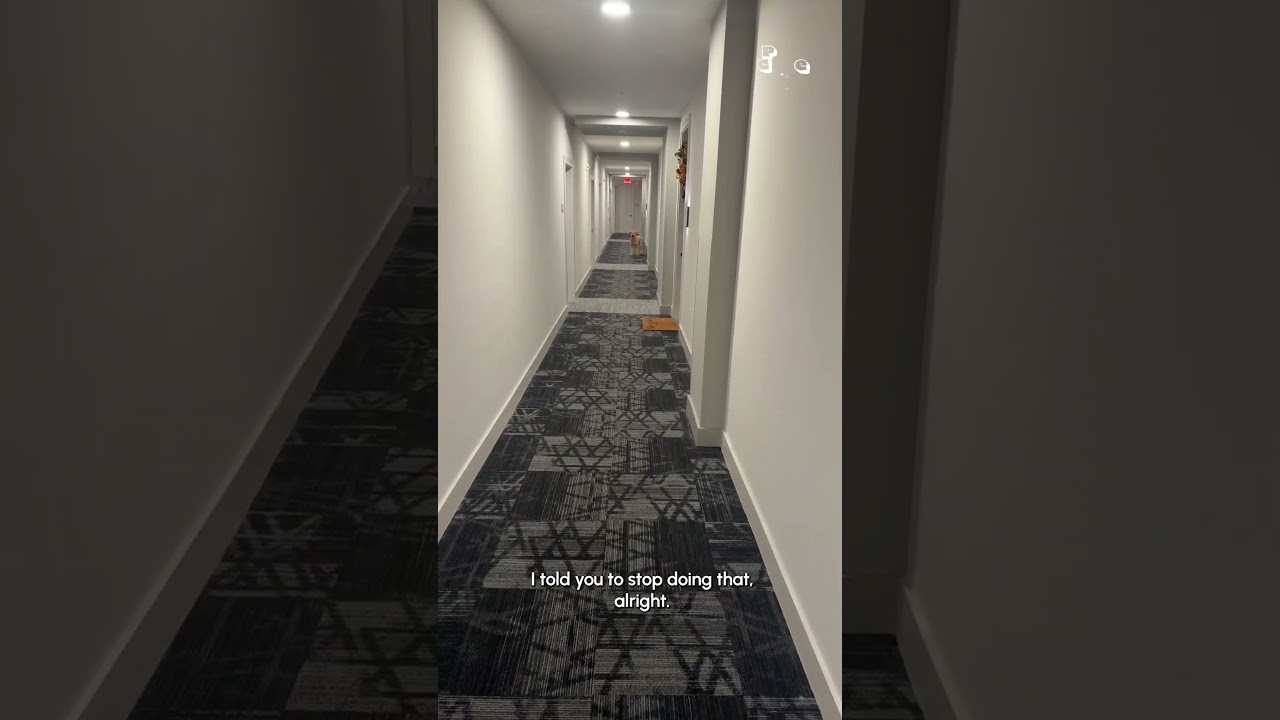 Dog Turns Leash Training Into Hilarious Hallway Sprint